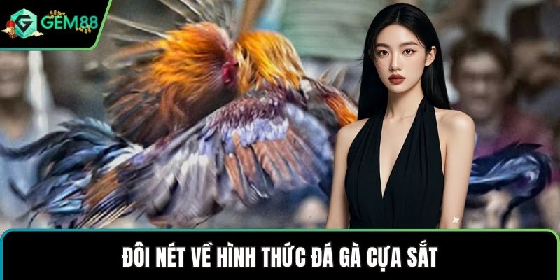 Đôi nét về hình thức đá gà cựa sắt