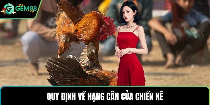 Quy định về hạng cân của chiến kê