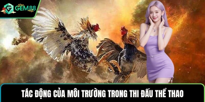 Tác động của môi trường trong thi đấu thể thao