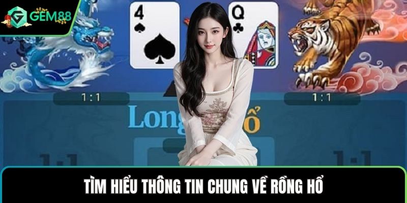 Tìm hiểu thông tin chung về rồng hổ